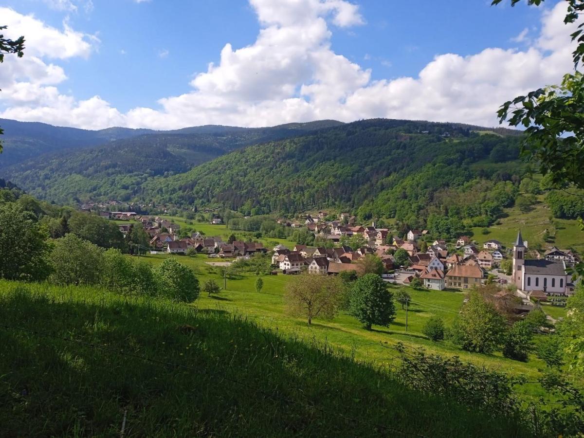 Le Gite Des Kritter Stosswihr Exterior photo